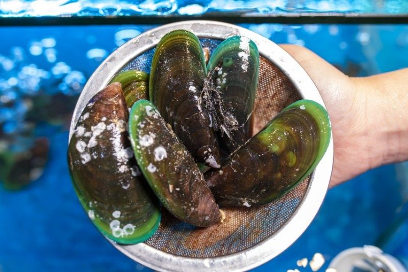 长沙东方船说海鲜自助餐厅自助餐89.9元/1大1小，让你吃到扶墙走