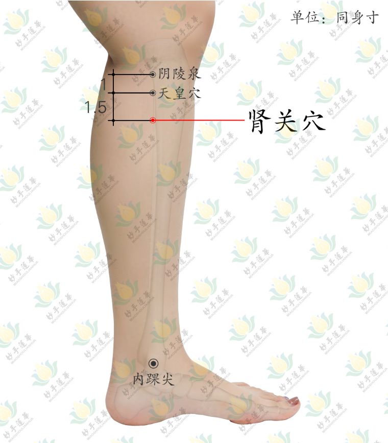 董氏治咽喉痛的特效穴,董氏针灸治感冒特效穴