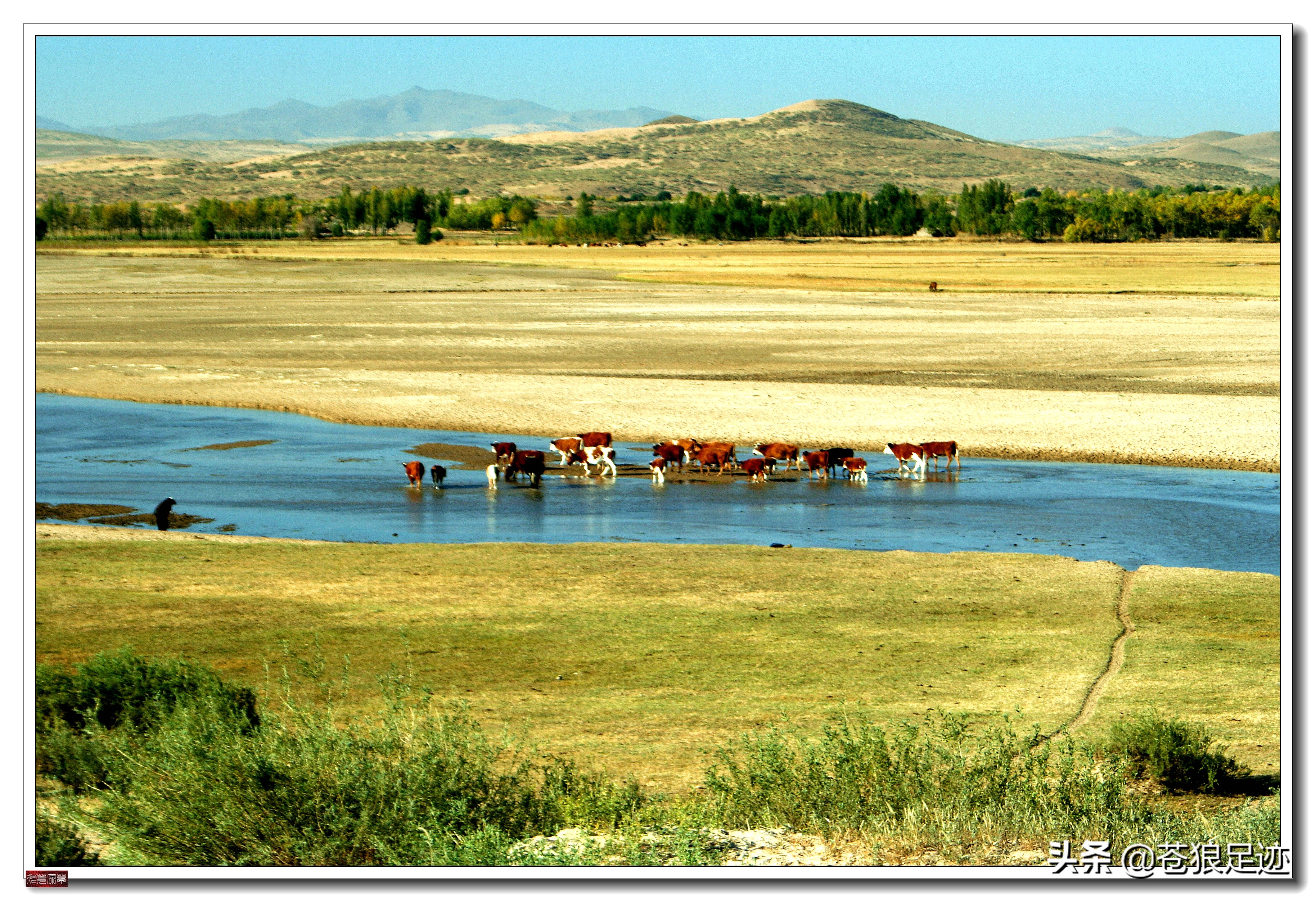 野阔牛羊同雁鹜——雄浑壮阔的贡格尔草原