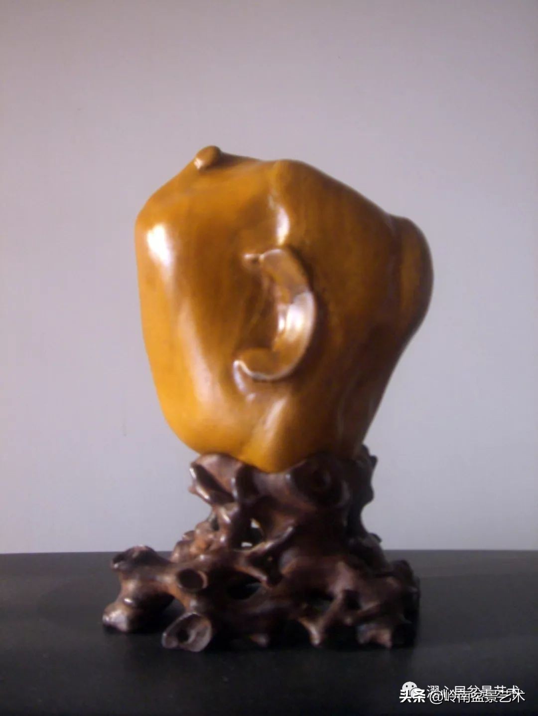 玩树藏石，不亦乐乎！