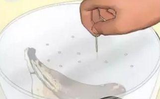 赶走苍蝇有什么生活小妙招,如何赶走苍蝇最有效的方法