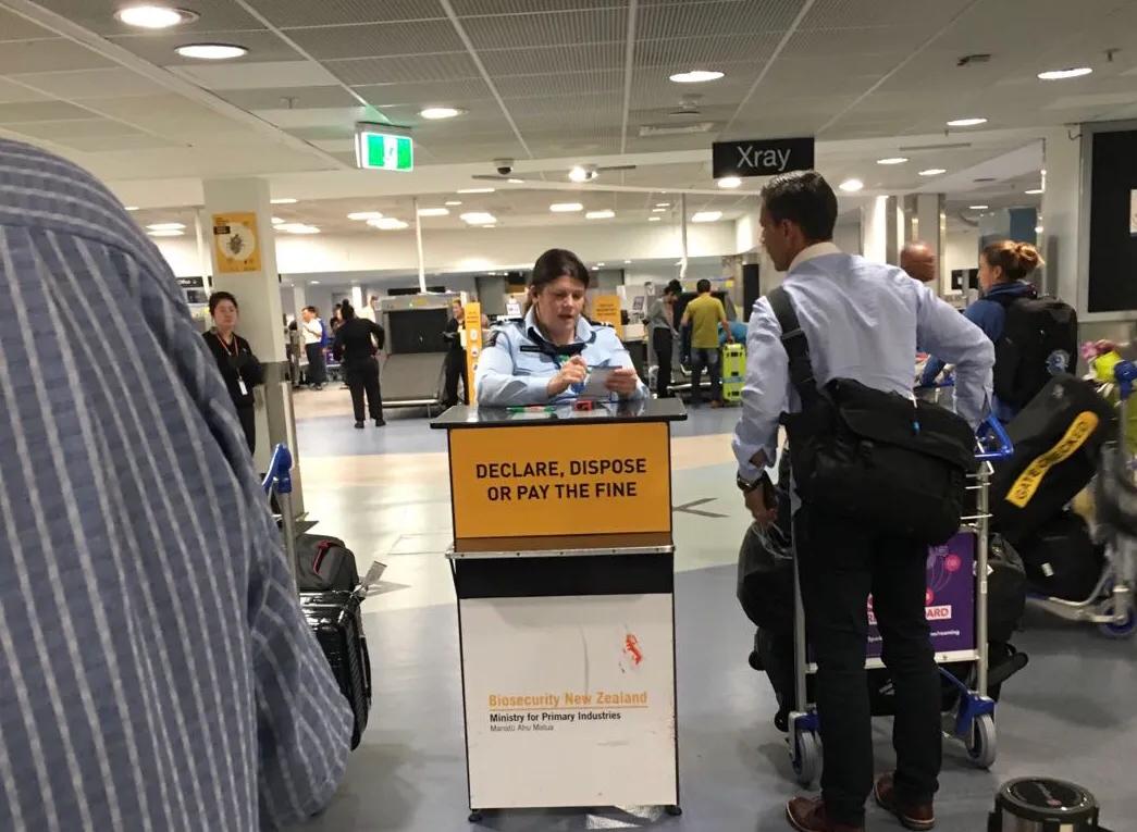 旅游回国入境要经历哪几关,第一次出国旅游需要注意什么