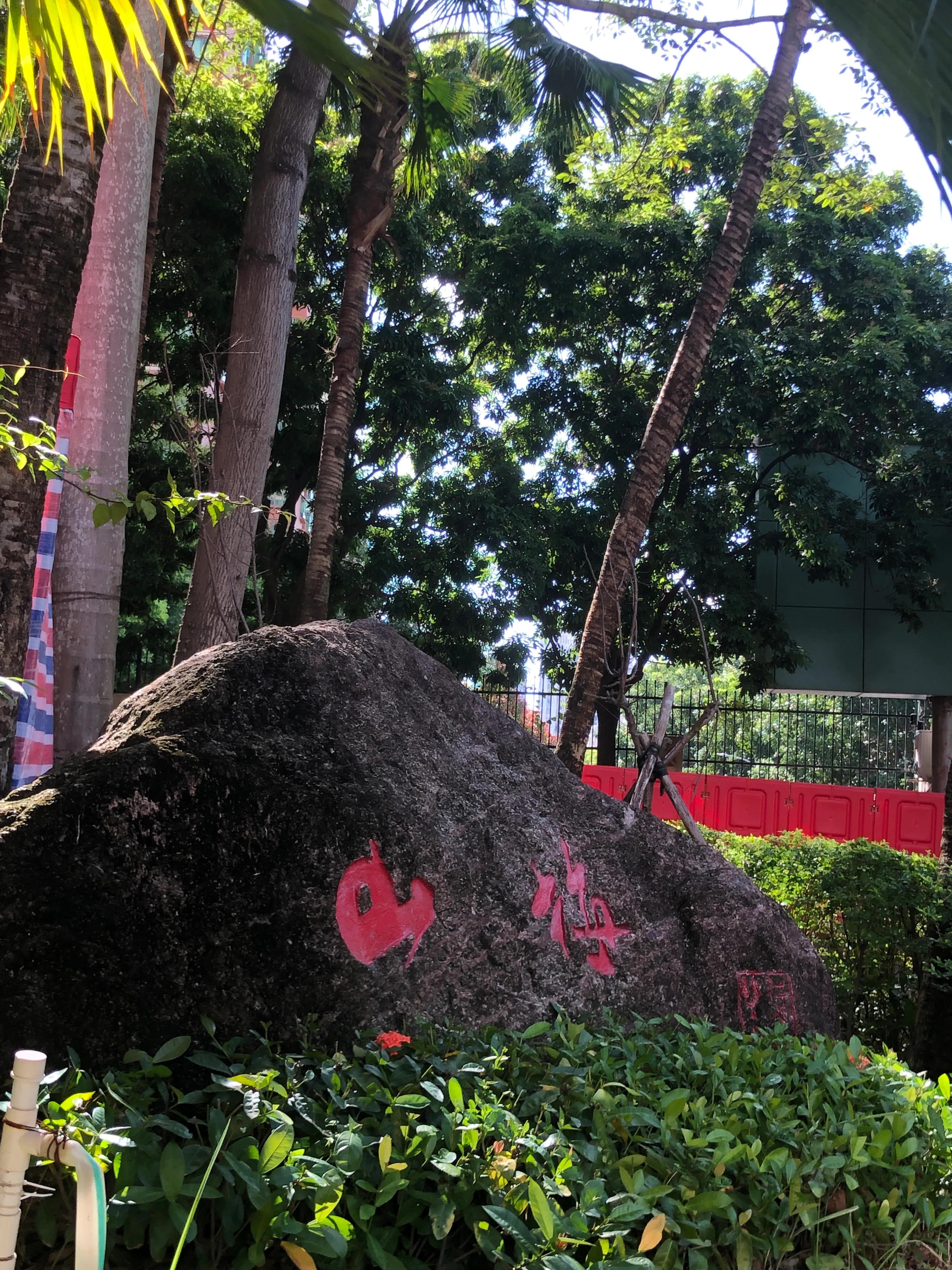 美在梅山-深圳市福田区梅山中学建校20周年志庆(2)