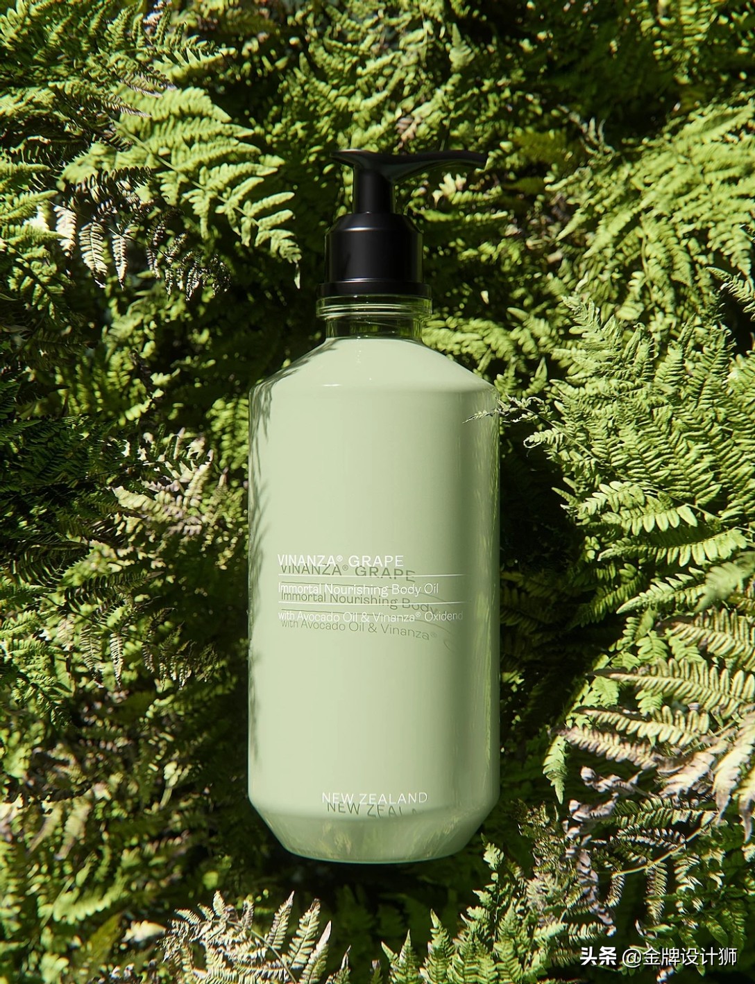 包装ai设计样板,包装设计ai素材