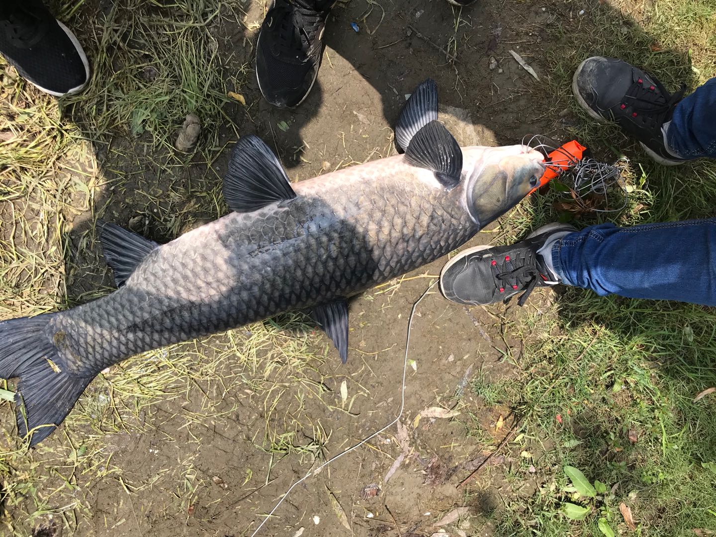 野钓高手的特征,成野钓大师的第一步
