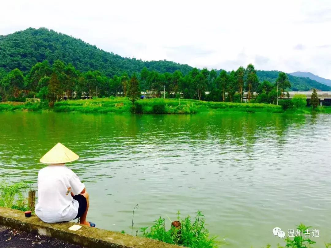 平阳鸣山古村落图片,千年古村平阳县鸣山村古城夜景