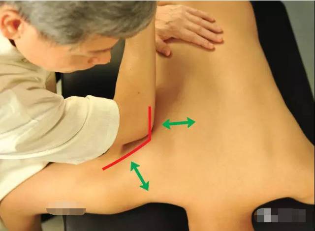 左脚腕外侧骨头疼,双腕外侧疼