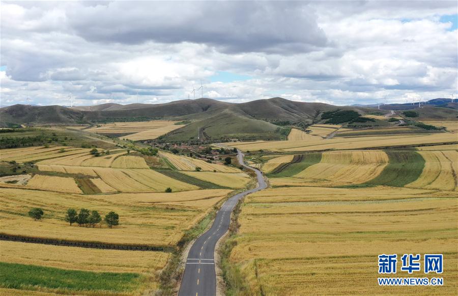 如何对付身边的小人坏人,如何对付各种小人