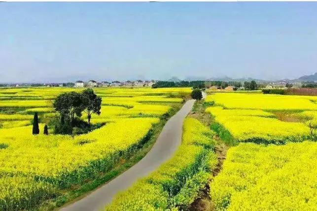 国农科技有限公司最新消息,国农科技最新消息