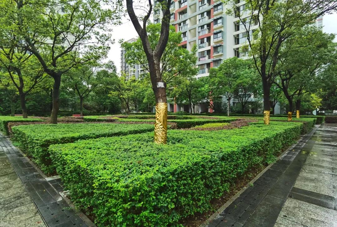 今天,我要好好夸下无锡这个学区房的物业