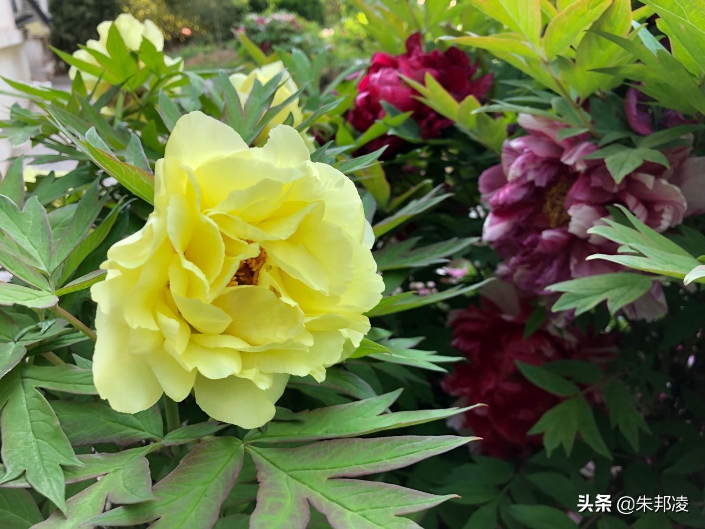 比什么都别和中信国安比有钱?如今负债1558亿,让债主别*债追**