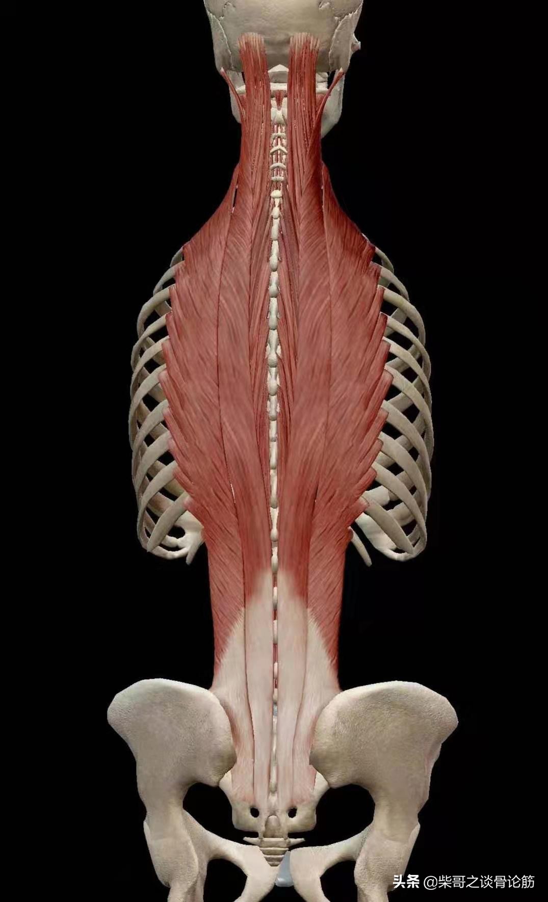 椎间盘突出腰酸怎么治,椎间盘突出是常见病吗