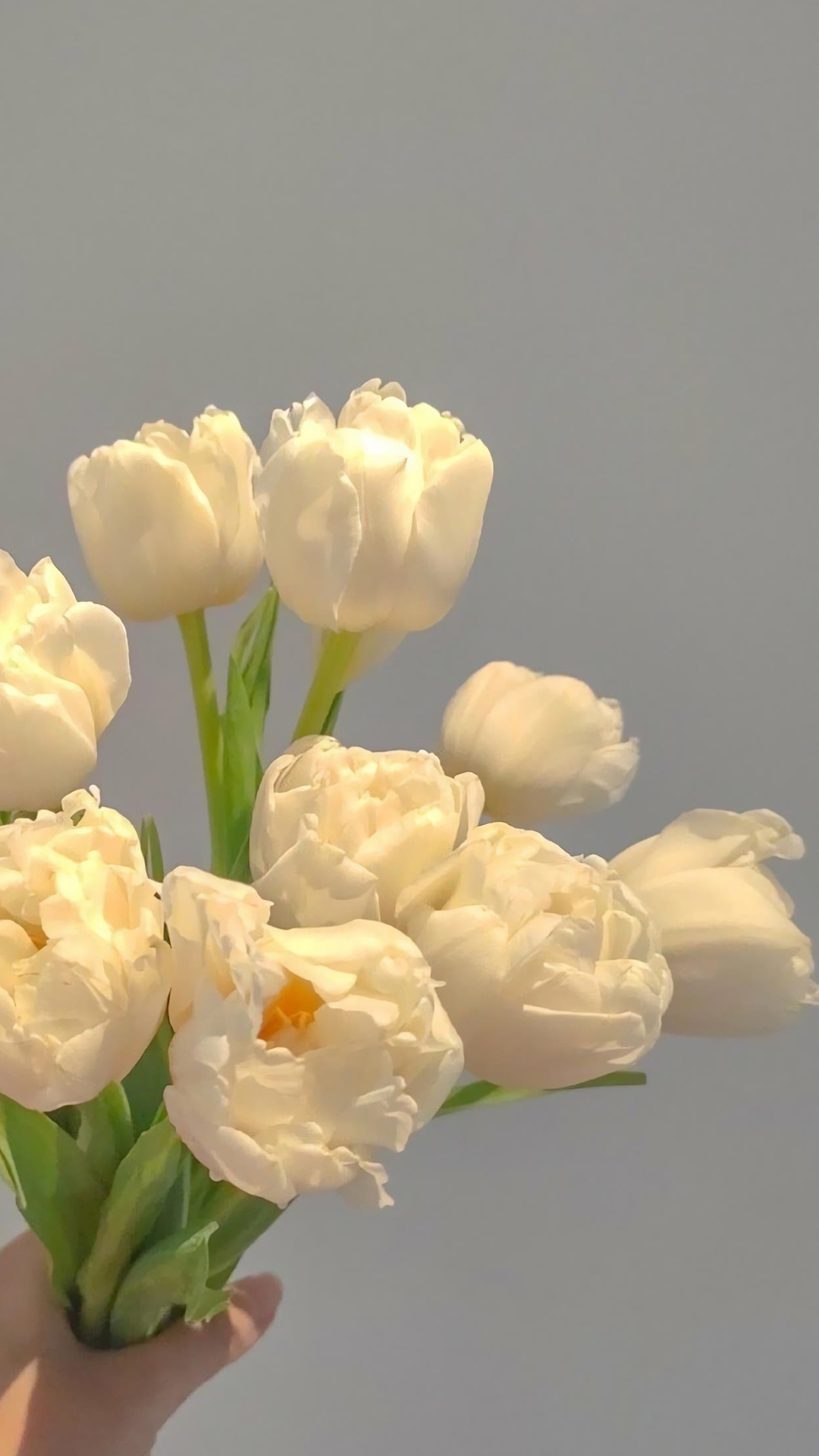 100张绝美壁纸海景,绝美壁纸夕阳窗户