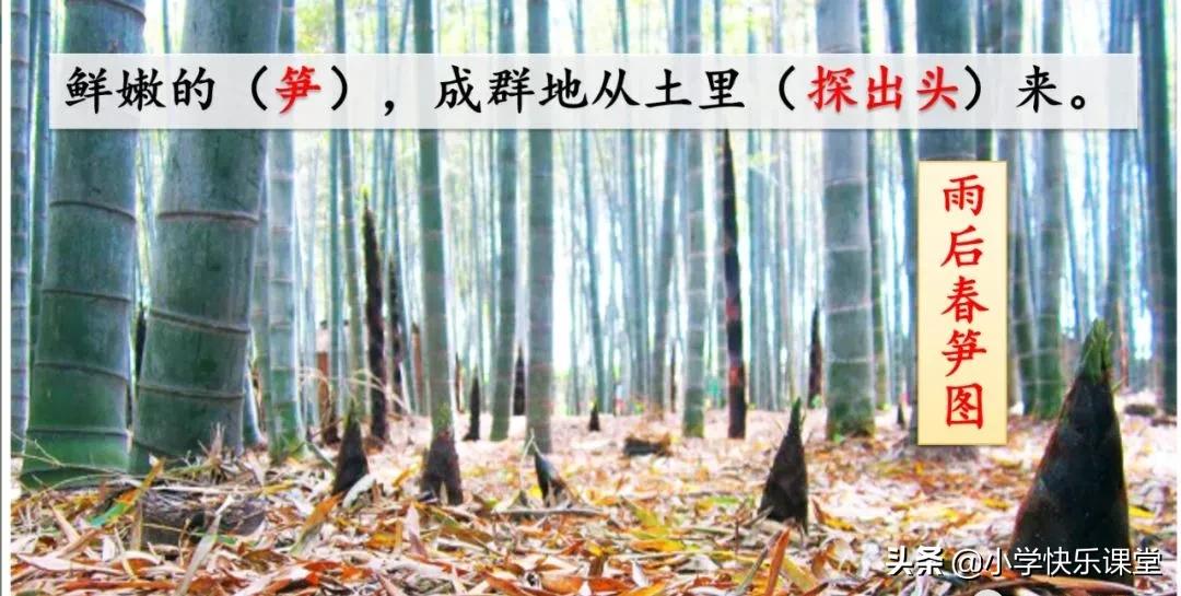 部编四年级下册语文乡下人家练习,部编版四年级下乡下人家同步练习