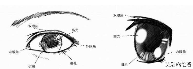 铅笔画动漫眼睛的画法步骤,动漫人物的眼睛画法简笔画图片