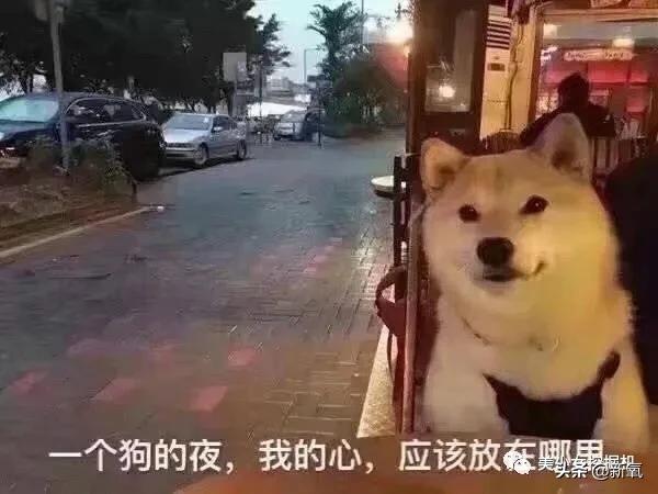 伪素颜戴义乳空降虎扑女神top1,揭开真相直男的世界崩塌了…