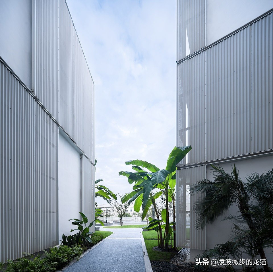 景观道路设计图片,一条景观路设计图片