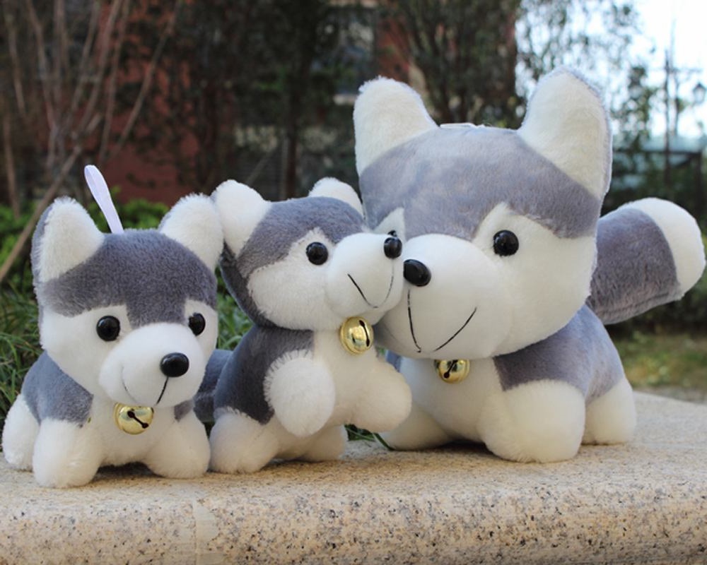 常见狗的各种发病症状,成犬狗狗老是咬东西是咋回事