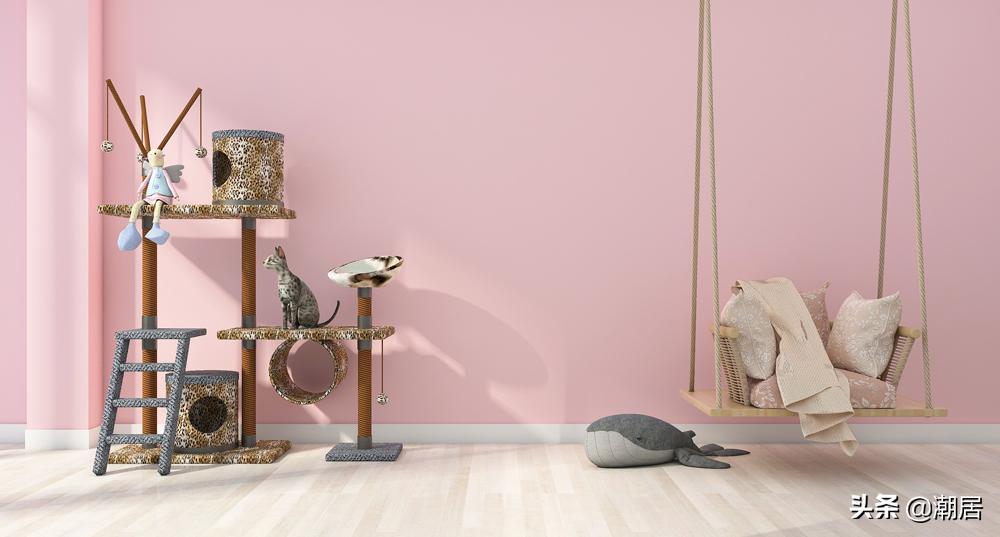 猫咪怎么吃得胖,猫猫太瘦怎么给它补充营养