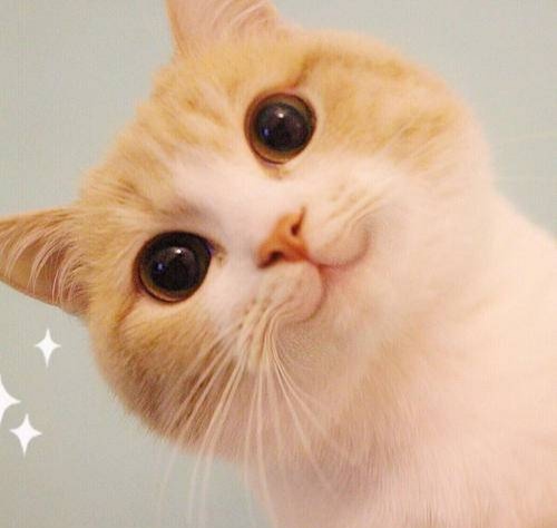 浅谈幼儿园教师的职业幸福感,为什么做幼儿园教师这个职业