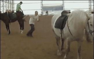 再胜,中国imo金牌得主去向