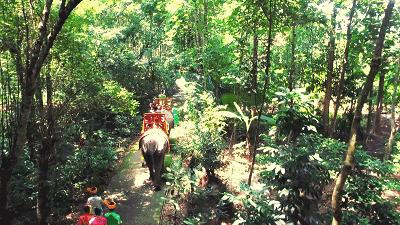 昆明自驾西双版纳沿途旅游景点,昆明至西双版纳沿途旅游景点