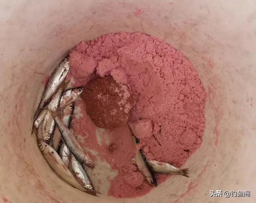 抽鲢鳙遇到白条闹窝怎么办,鲢鳙白条闹窝用大浮漂