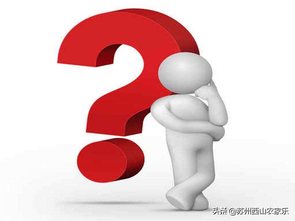 春节苏州西山农家乐多少价格,苏州西山农家乐包吃包住价格