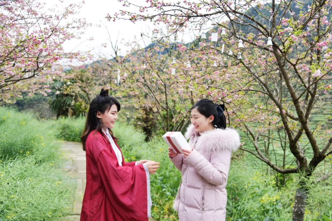 樱花烂漫时汉服少女,樱花烂漫时相遇