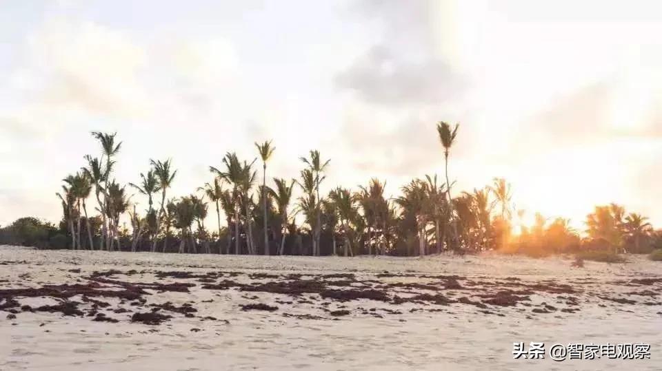 飞利浦小家电现状,飞利浦黑名单解除