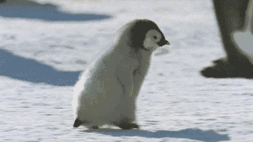 2020安徽宿州大雪暴雪,刚刚宣城发布暴雪预警