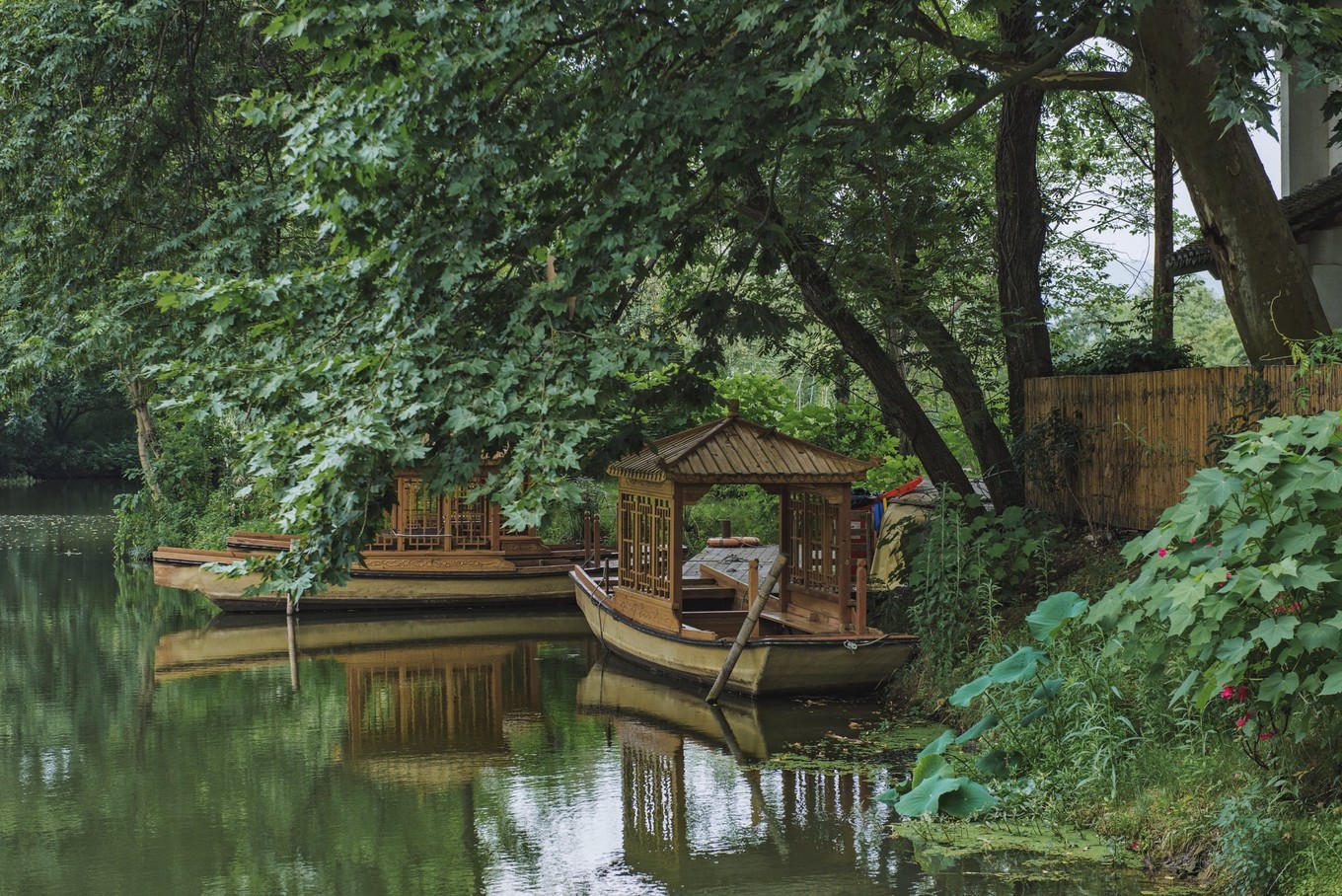 绿色世界花的海洋，在十里芳菲宠爱自己的24小时