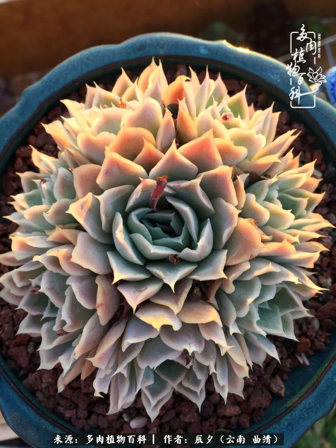 缂辩换鏃栨棊钁宠暏鐢熼,缂辩换鏃栨棊钁宠暏鐢熼鍑哄