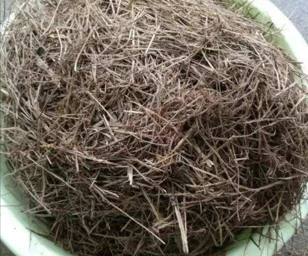 养花的轻质材料,养花积水烂根怎么处理