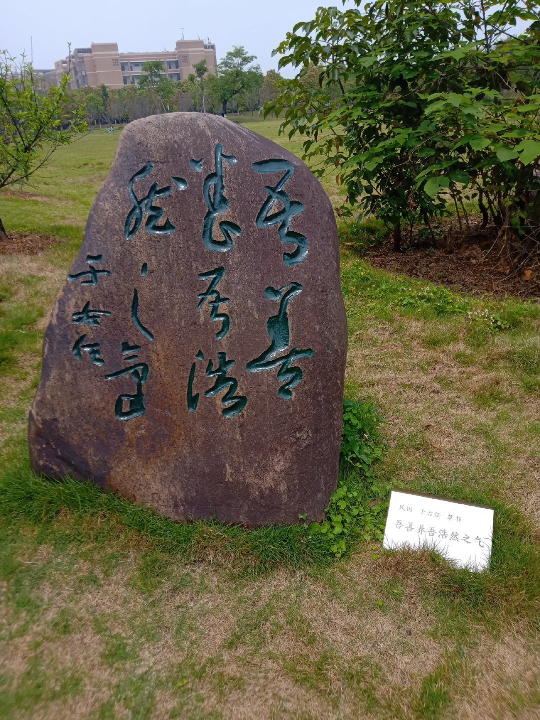 福州大学就像一座大公园，风景美到爆！最美的世界一流学科院校