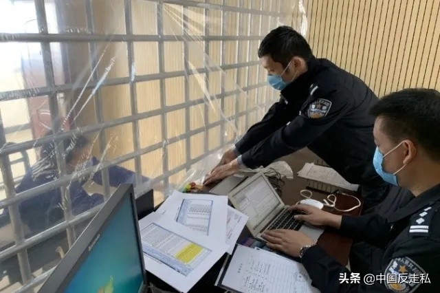 国门利剑刺猬紫檀走私案,国门利剑2019十大案件