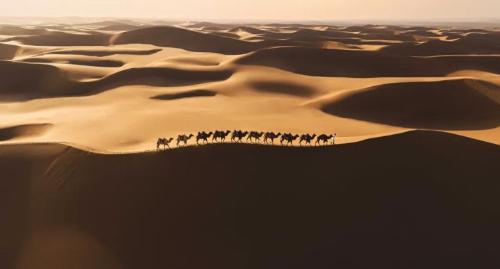 御Air2、御Mini和御2系列有什么区别？应该怎么选？