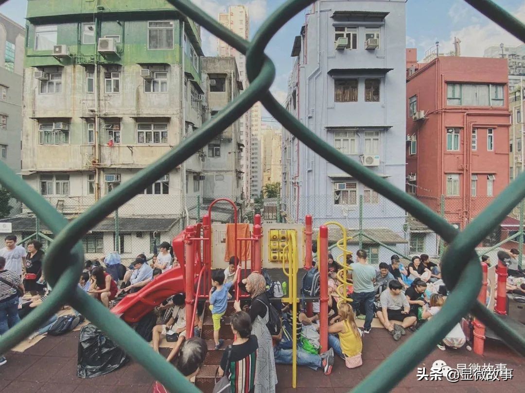 摇号抽签、排队3天2夜、炒鞋理财，我们误入“鞋”途