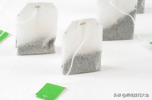 养花必备四种调料,养花最好的4种料