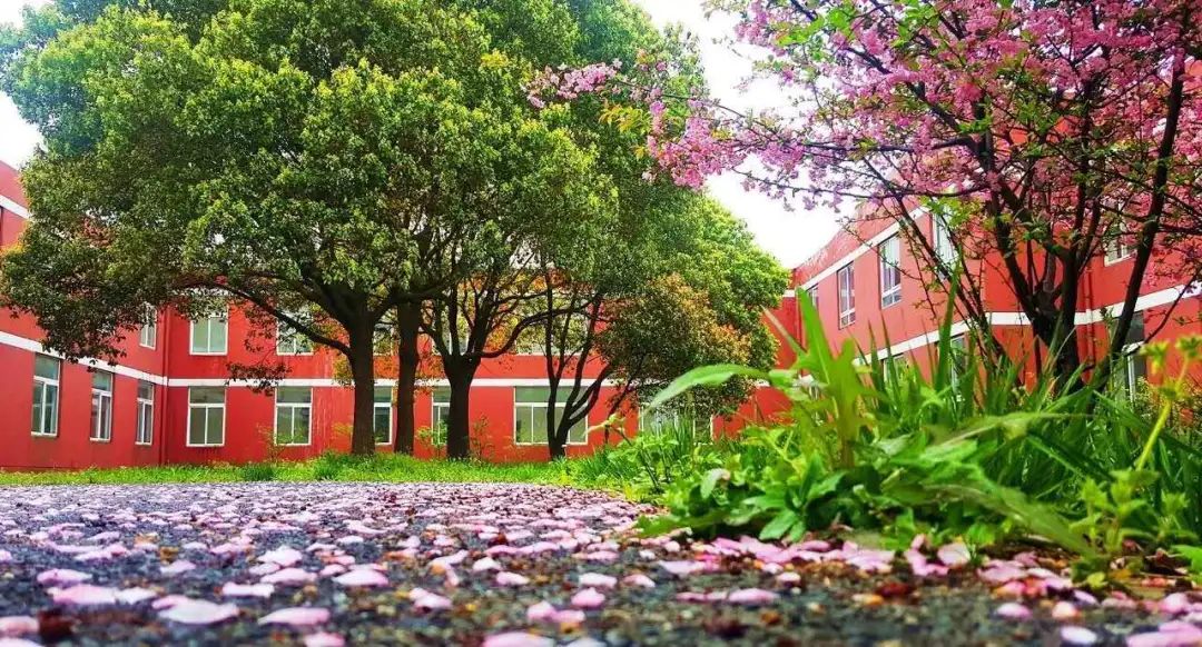 苏州托普“拍了拍”你：冲吧，乘风破浪的毕业生