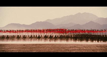 我们还需不需要童话作文议论文,现在的我们还需要匠人精神吗