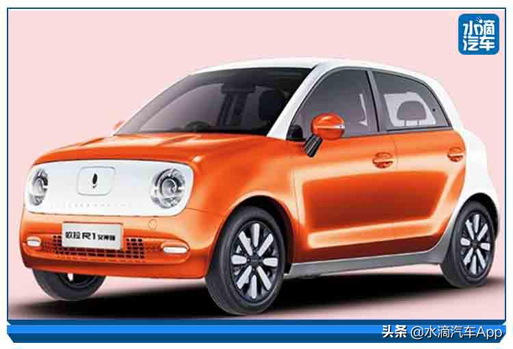 突然伪潮流的欧拉，能成为一只好猫么？