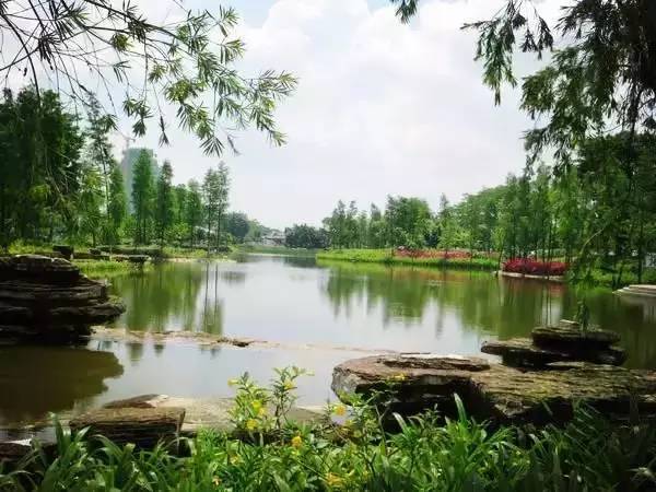 广州小岛旅游,广州周边小岛游