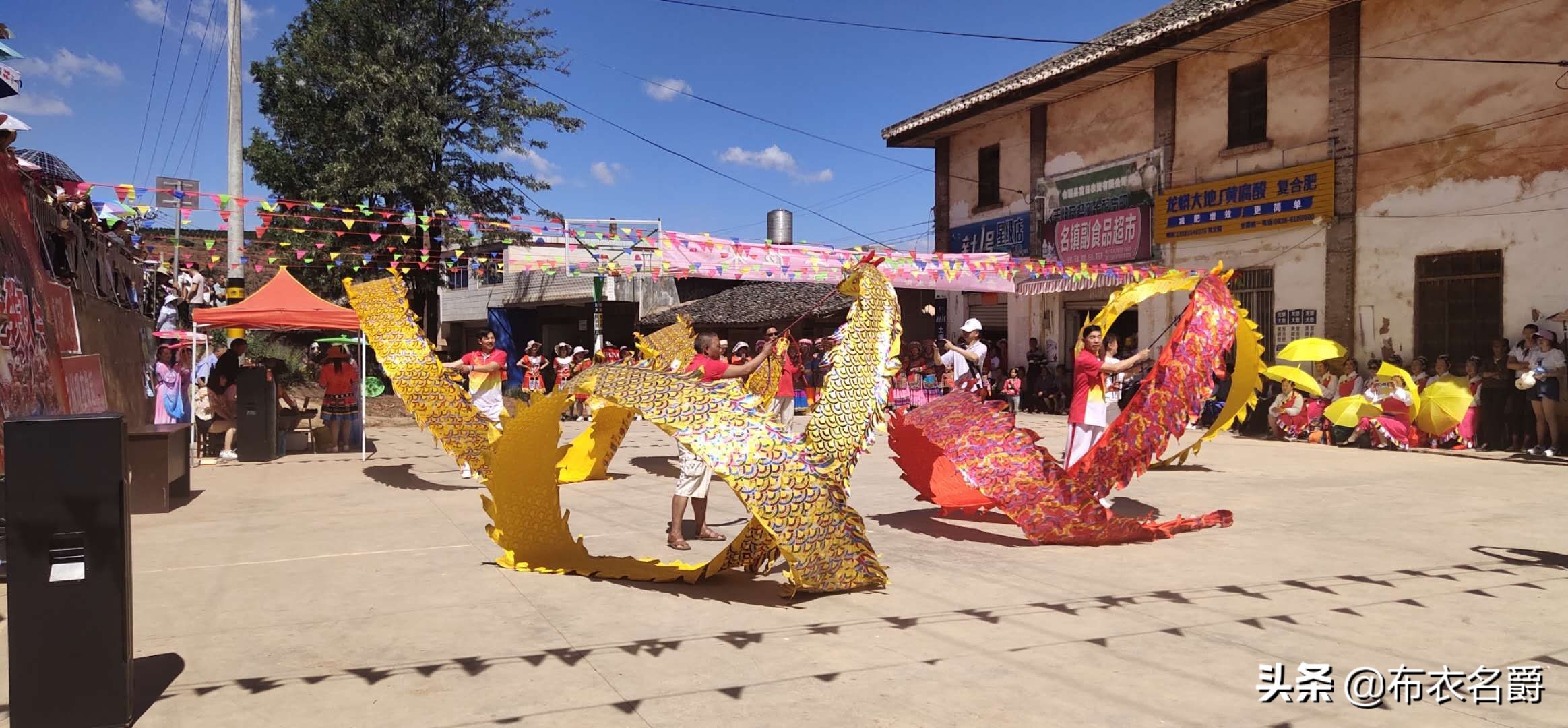 狗产后24小时内出现低血钙怎么办,宠物犬产后低血钙