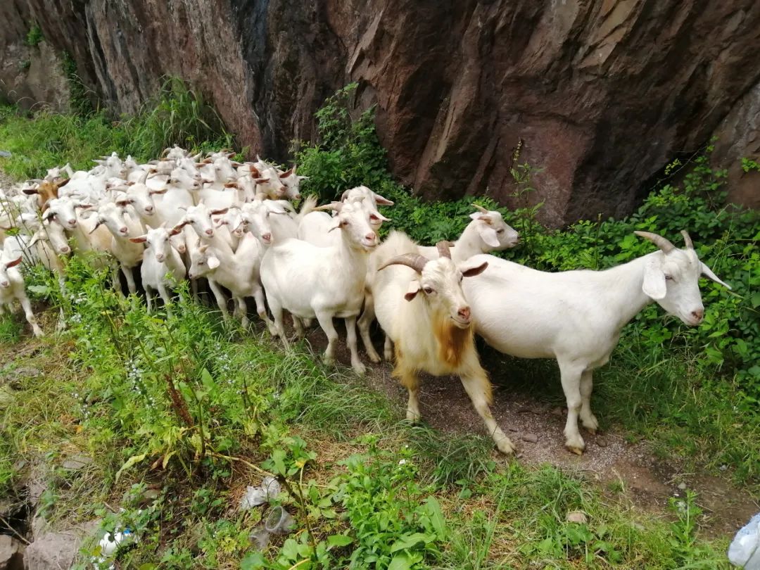 宁波及象山三天两夜游,宁波象山攻略