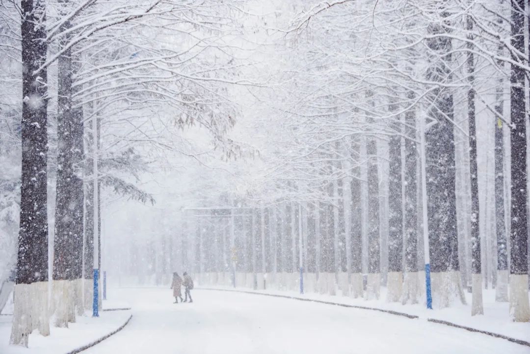 想去大连了,还有人想去大连吗