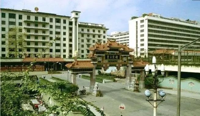 毛宁杨钰莹：初代国民偶像往事