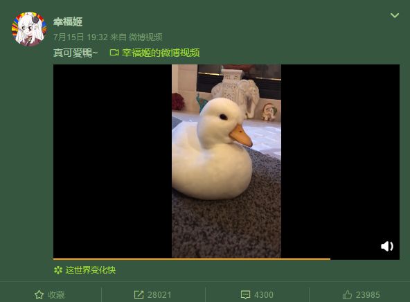 一只鸭子一万五元,一只鸭子一万多