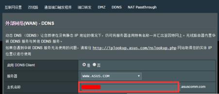 公网ip怎么搭建nas,搭建远程访问的nas