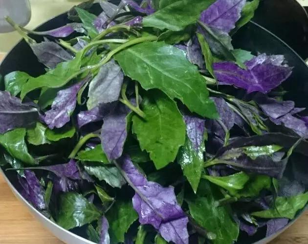 贫血不妨多吃“补血菜”，补铁淡色斑，肌肤白净，减轻体重